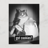 Kat Drink melk van Jug Uitnodiging Briefkaart (Voorkant)