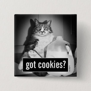 Kat Drink melk van Jug Vierkante Button 5,1 Cm