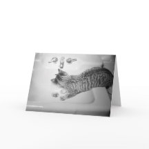 Kat Drink van een zinkkraan Retro