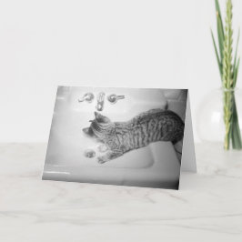 Kat Drink van een zinkkraan Retro Feestdagen Kaart