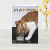 Kat Drink van Glass Happy Birthday Kaart (Gele Bloem)