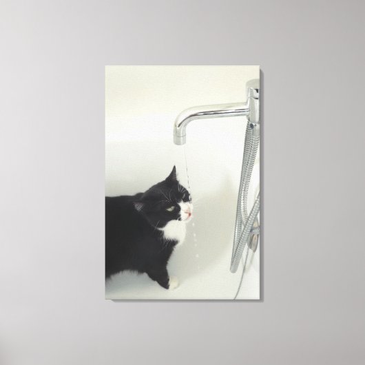 Kat Drink waterafvoer van een kraan Canvas Afdruk (Voorkant)