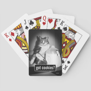 Kat drinkt melk uit kan pokerkaarten