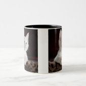 kat dubbele mok (Center)