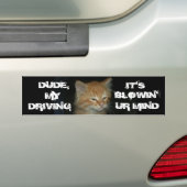 Kat "DUDE DRIVIN BLOWIN' UR MIND" Bumpersticker (Op auto)