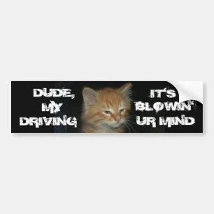 Kat "DUDE DRIVIN BLOWIN' UR MIND" Bumpersticker