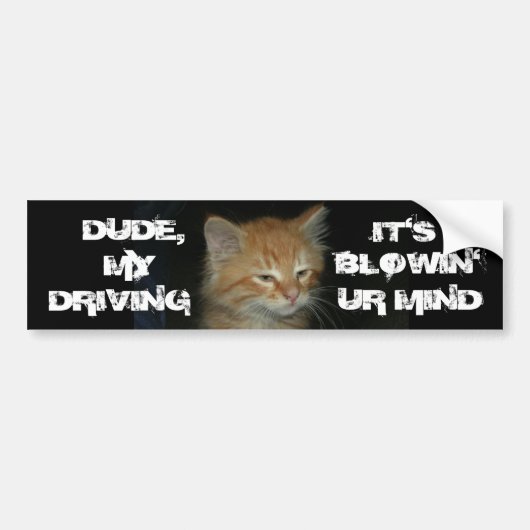 Kat "DUDE DRIVIN BLOWIN' UR MIND" Bumpersticker (Voorkant)