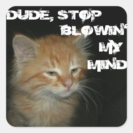 Kat "DUDE STOP BLOWIN" MIJN MIN" stickers 20 Set (Voorkant)