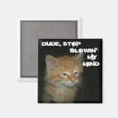 Kat "DUDE, STOP BLOWIN" MIJN MIND Magnet (Voorkant / Achterkant)
