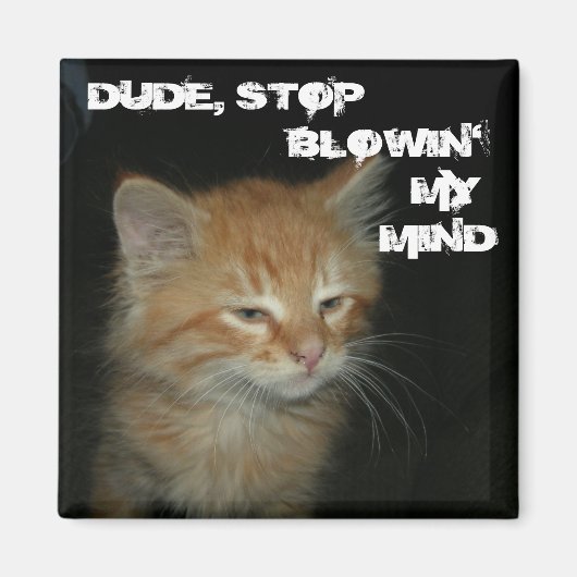 Kat "DUDE, STOP BLOWIN" MIJN MIND Magnet (Voorkant)