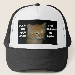 Kat "DUDE UR PET-HEAD IT'S BLOWIN' MIJN VIND" Pet