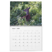 Kat Duncan Design Calendar! Kalender (Mar 2027)