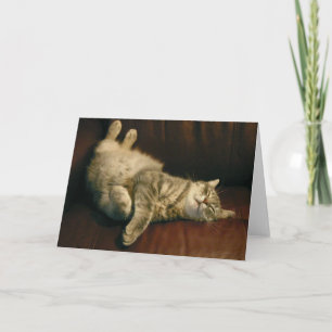 Kat dutje - extreem kaart