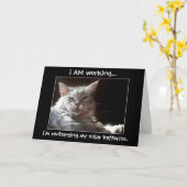 Kat dutten in zonneschijn notitie of wenskaart kaart (Gele Bloem)