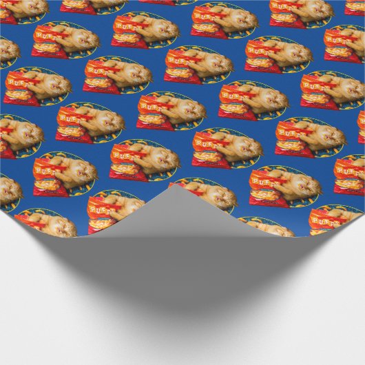 Kat Eating Cheese Puffs Cadeaupapier (Hoek)