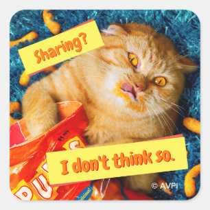 Kat Eating Cheese Puffs Vierkante Sticker
