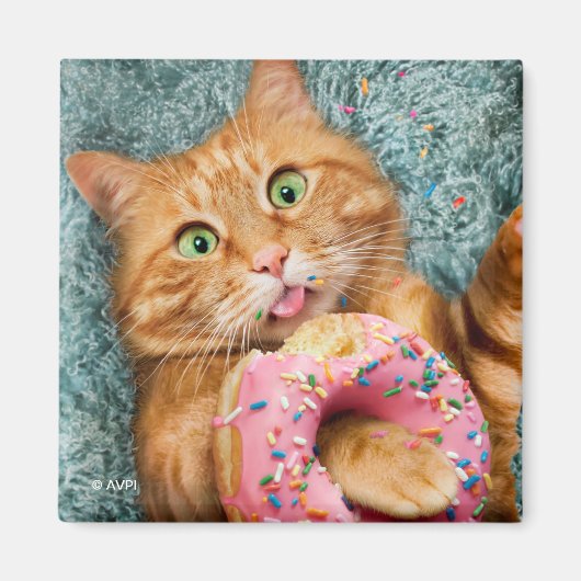Kat Eating Donut Magneet (Voorkant)