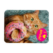 Kat Eating Donut Magneet (Horizontaal)