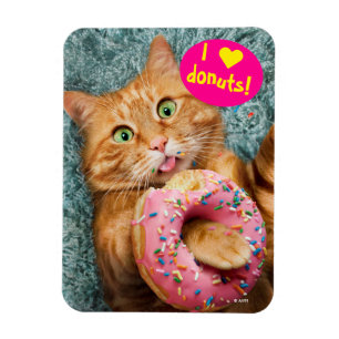 Kat Eating Donut Magneet