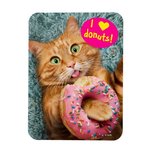 Kat Eating Donut Magneet (Verticaal)