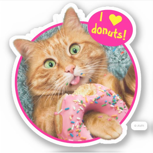 Kat Eating Donut Sticker (Voorkant)
