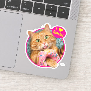 Kat Eating Donut Sticker