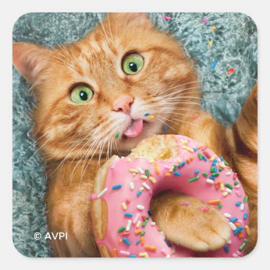 Kat Eating Donut Vierkante Sticker (Voorkant)