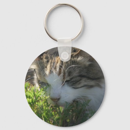 Kat Een Plant smelten Sleutelhanger (Voorkant)
