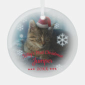 Kat Eerste Kerstmis | Kattennaam Snowflake Glas Ornament (Voorkant)