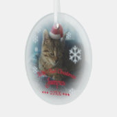 Kat Eerste Kerstmis | Kattennaam Snowflake Glas Ornament (Voorkant links)