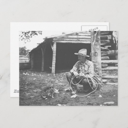 Kat eet uit een koffieblik. briefkaart (Voorkant / Achterkant)