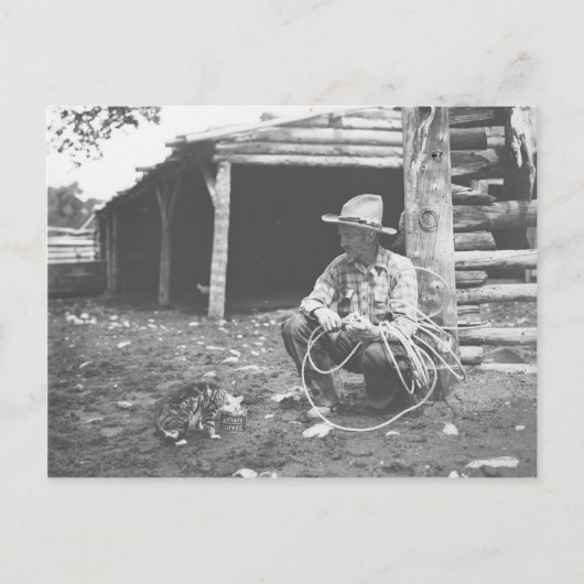 Kat eet uit een koffieblik. briefkaart (Voorkant)