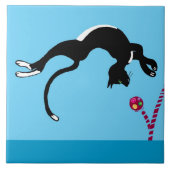 kat en bal tegeltje (Voorkant)
