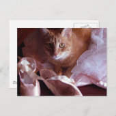 Kat- en balletschuifpannen briefkaart (Voorkant / Achterkant)