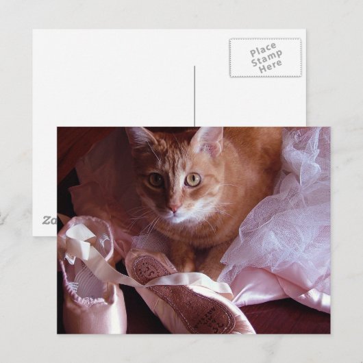 Kat- en balletschuifpannen briefkaart (Voorkant / Achterkant)