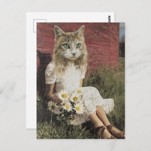 Kat en bloemen briefkaart (Voorkant / Achterkant)
