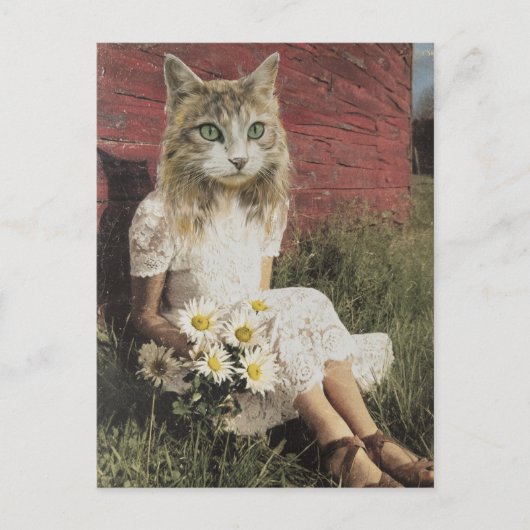 Kat en bloemen briefkaart (Voorkant)