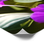 kat en bloemen van blauwe en roestkalikat poster (Hoek)