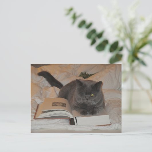 Kat en boek briefkaart (Staand voorkant)