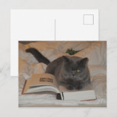 Kat en boek briefkaart (Voorkant / Achterkant)