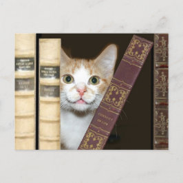 Kat en boeken briefkaart