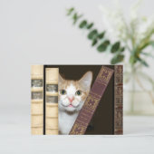 Kat en boeken briefkaart (Staand voorkant)