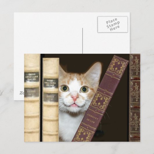 Kat en boeken briefkaart (Voorkant / Achterkant)
