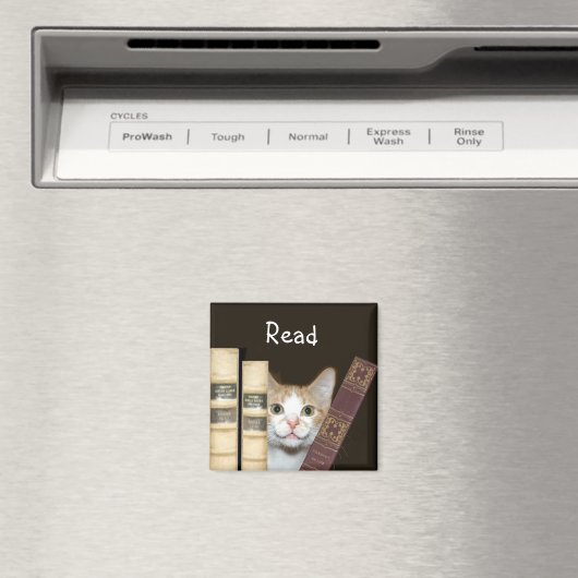 Kat en boeken magneet (Insitu (Vaatwasser))