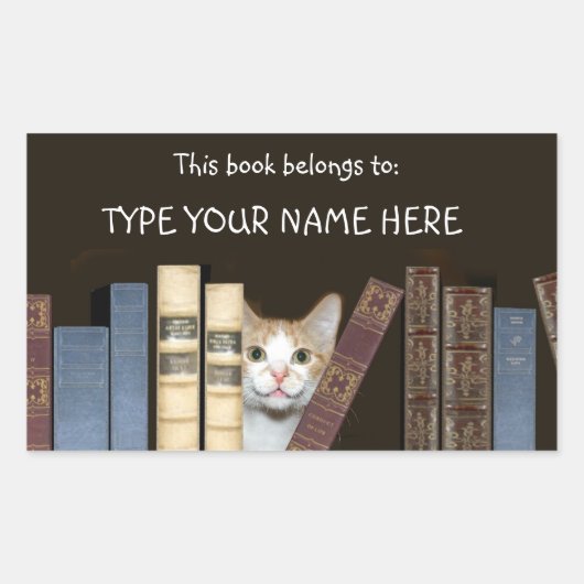 Kat en boeken rechthoekige sticker (Voorkant)