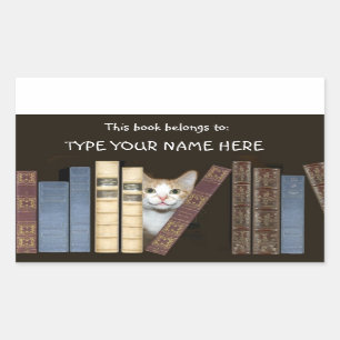 Kat en boeken rechthoekige sticker