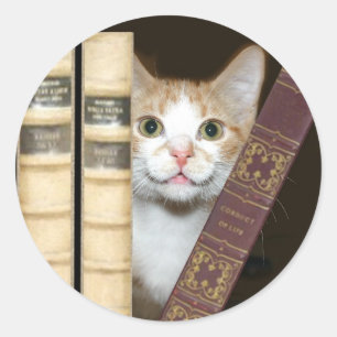 Kat en boeken ronde sticker