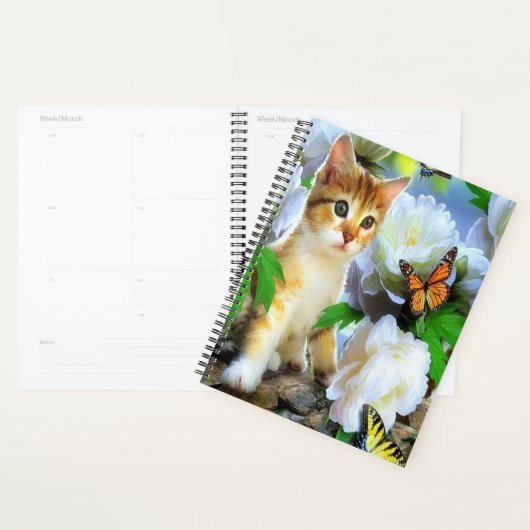 Kat en botervliegen planner (Display)