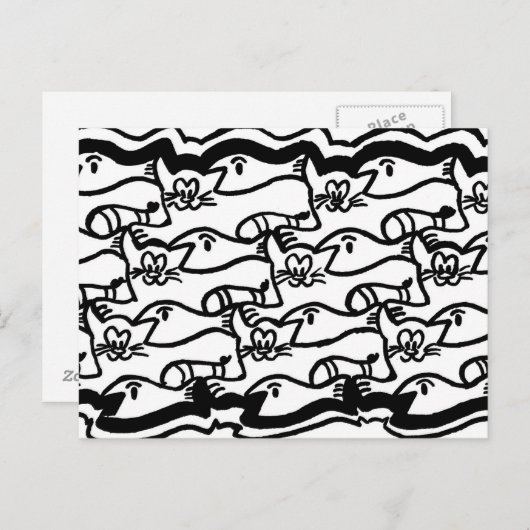 Kat en Briefkaart van Bord met grote viskleuren (Voorkant / Achterkant)