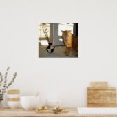 kat en damp poster (Keuken)